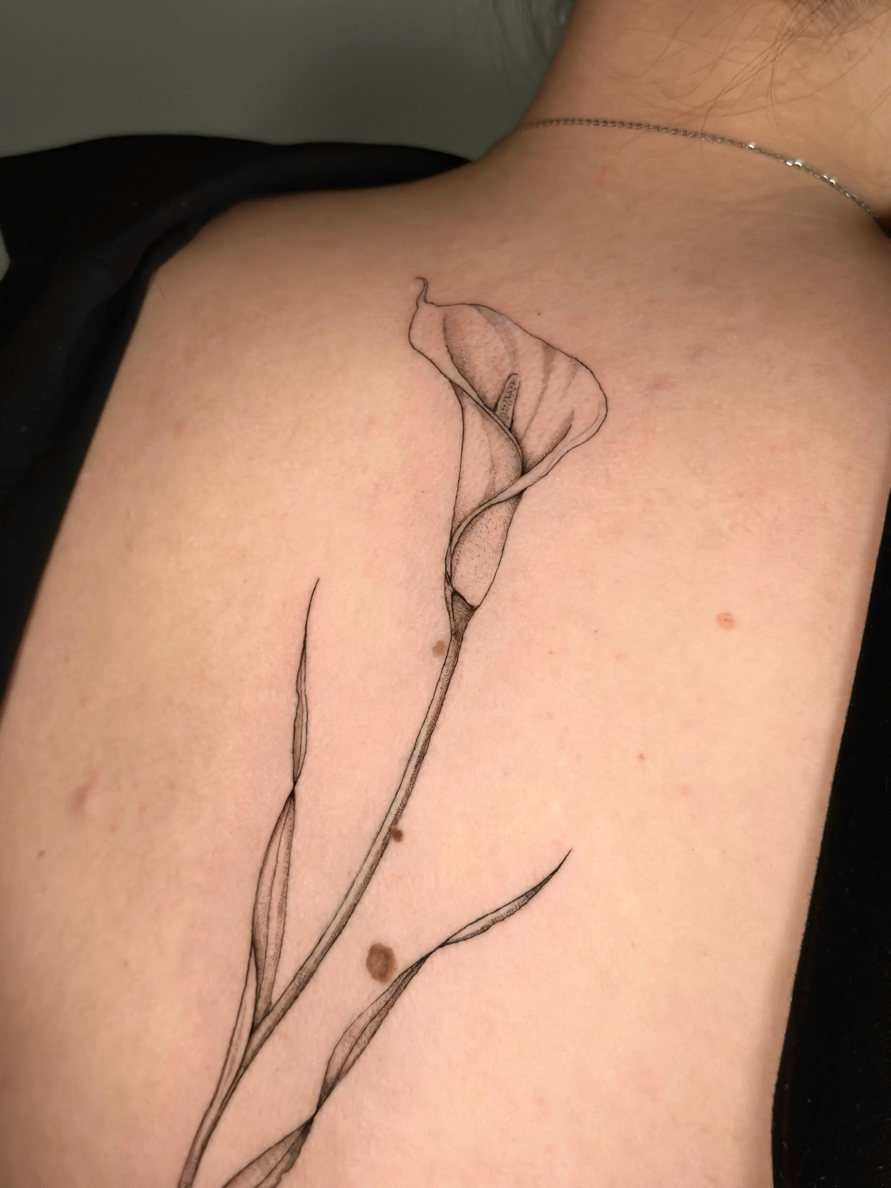 Tatuaje floral de tulipanes en la espalda - Providencia, Santiago